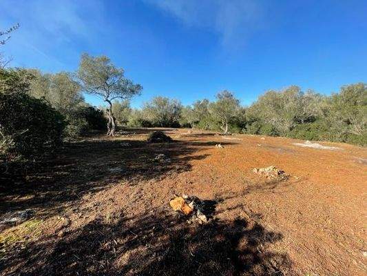 Grundstück mit Projekt für ein Haus mit Pool zum Verkauf in Felanitx, Mallorca.