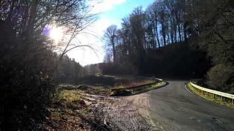 Overath Bauernhöfe, Landwirtschaft, Overath Forstwirtschaft