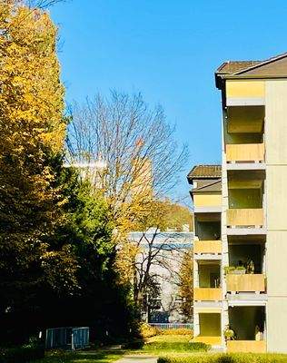 Ausblick auf die Godesburg