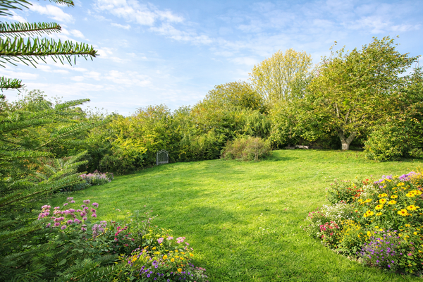 EFH Kasnevitz Beispiel Sommerbepflanzung.png