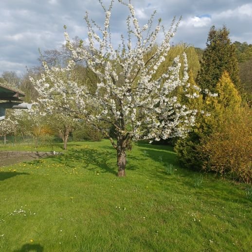 Zwischen Bad Freienwalde und Eberswalde Mehrgenerationswohnen in der Nähe der Carlsburg