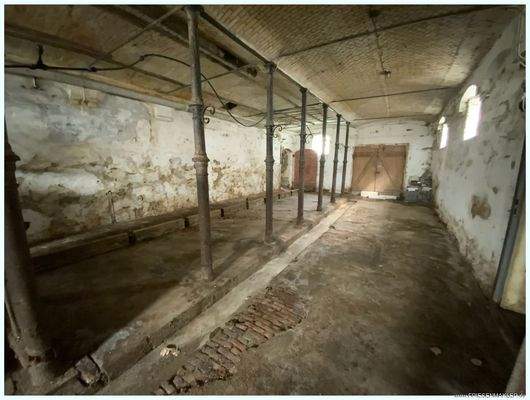 im alten Pferdestall