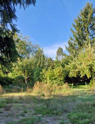 Grundstück - innen.jpg