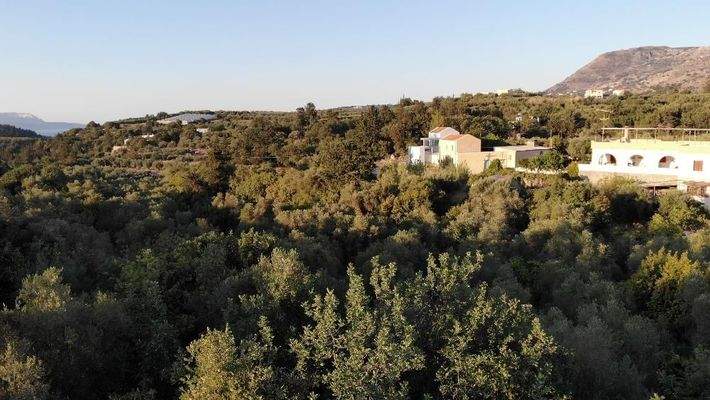 Kreta, Neo Chorio: Charmantes Baugrundstück mit Olivenbäumen und Panoramablick im Apokoronas zu verkaufen