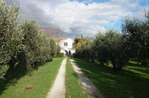 Venturina Häuser, Venturina Haus kaufen