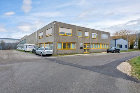 Bopfingen Halle, Bopfingen Hallenfläche