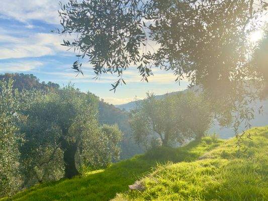 DA1013_05 TERRA ITALIA IMMOBILIEN_REAL ESTATE_FOR 