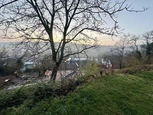 Blick aus dem Garten