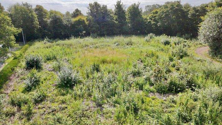 Freifläche Bebaubarkeit