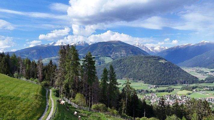 Agstner-Hof-Oberparzenberg-Luxus-Immobilie-Chalet-Olang-Bauernhof-Sanierungsbedürftig-Bauernhaus-Kronplatz-Skigebiet-südtirol-urlaub-Aussicht-Alleine-mitten in der Natur-Autonom-Quelle