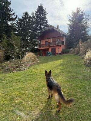 att.LvW0PiY63el-CLRNOKdEJVwzpHvxRseLU5XaLVUfdU8 másolata.JPG