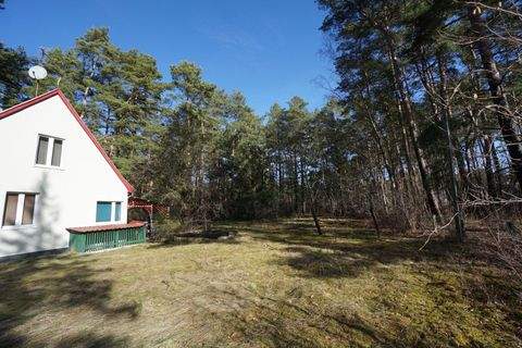 Borkheide Häuser, Borkheide Haus kaufen