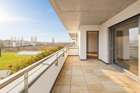 Wiener Neustadt Wohnungen, Wiener Neustadt Wohnung kaufen