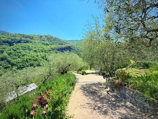 AP1010_20_TERRA ITALIA IMMOBILIEN_LIGURIEN_APRICAL