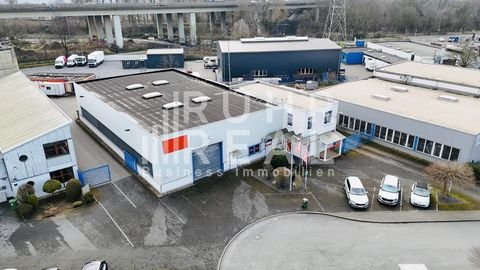 Oberhausen Halle, Oberhausen Hallenfläche
