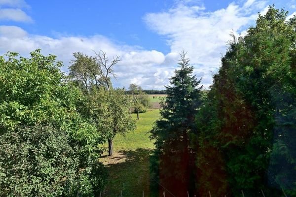 Ausblick