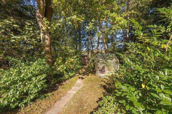 und eines praktischen Gewächshauses