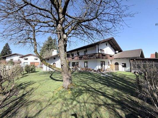 Südseite des Gartens