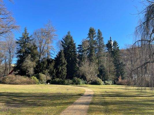 Fürstlich Greizer Park direkt am Grundtsück