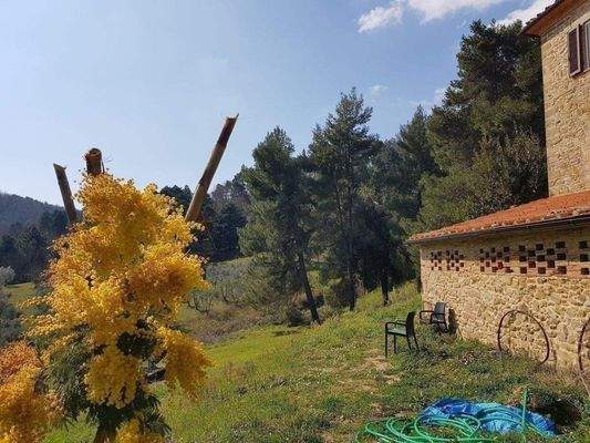 Natursteinhaus Panoramalage Toskana (81).jpg