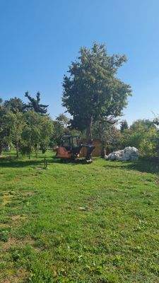 Blick auf das Grundstück