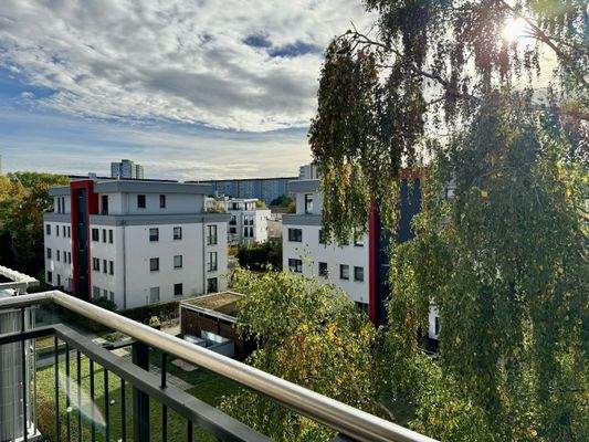 Blick vom Südwest-Balkon