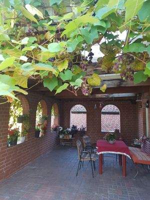 Überdachte Terrasse im Sommer