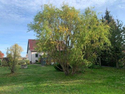 Garten mit Blick zum Haus