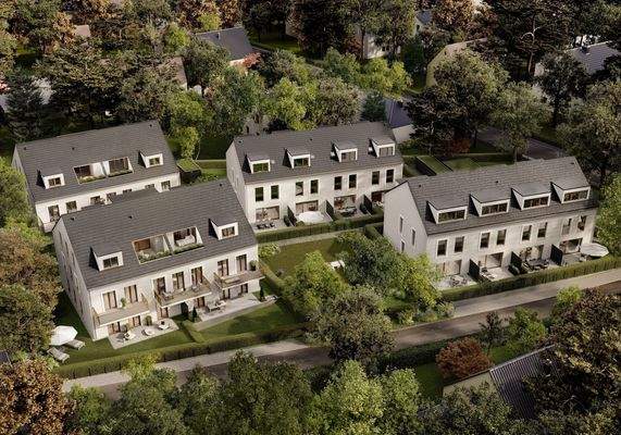 Vogelperspektive neu.jpg