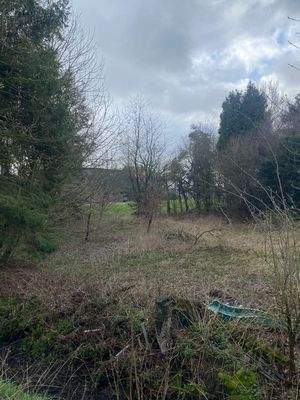 Blick auf das Wohngrundstück