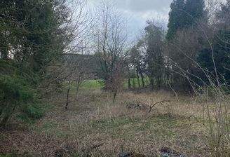 Blick auf das Wohngrundstück