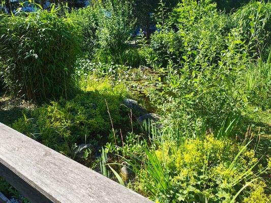 Technopark Außenanlage