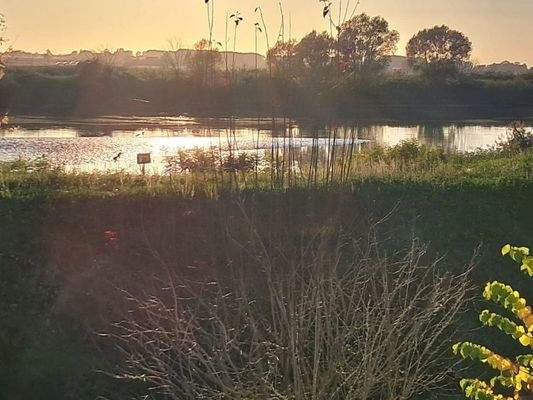 Blick über den Fluß
