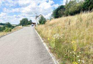 Ansicht Bestand
