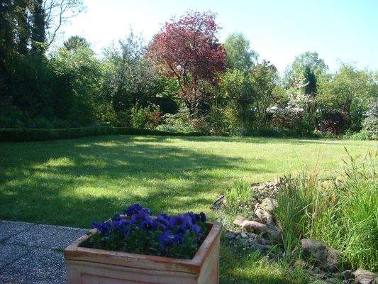 Gartenimpressionen