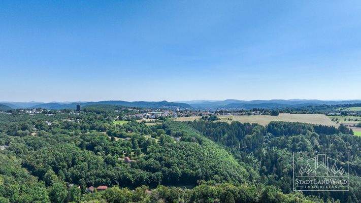 Umgebung - Pfälzerwald