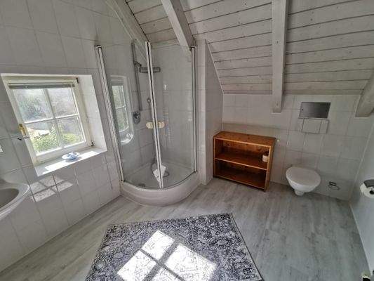 DG: Helles Duschbad mit WC und Dachfenster