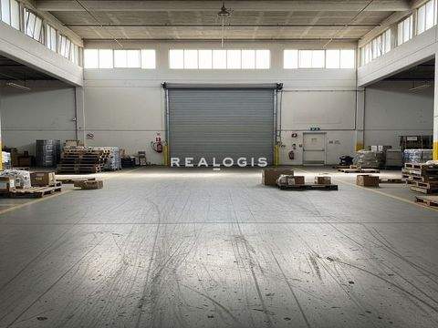 Villingen-Schwenningen Halle, Villingen-Schwenningen Hallenfläche