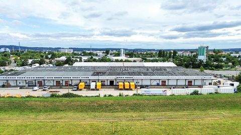 Dresden Halle, Dresden Hallenfläche