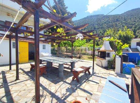 img_837db1f8-7869-442d-935f-ddb27dd4eed9