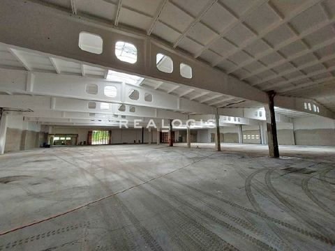 Arnsdorf Halle, Arnsdorf Hallenfläche