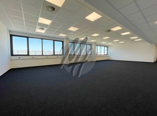 INFOS UNTER: 06171-586000