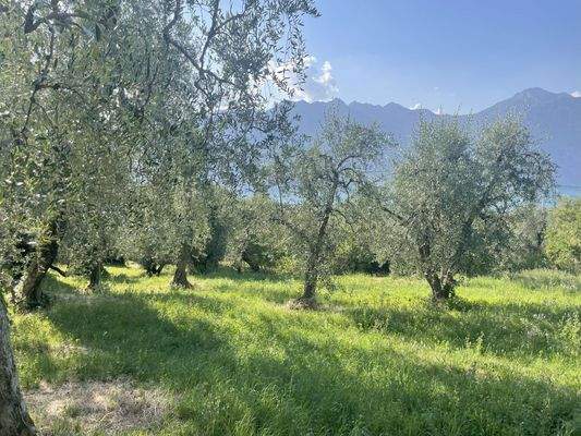 IMG_9638 - 1K JPEG.jpg