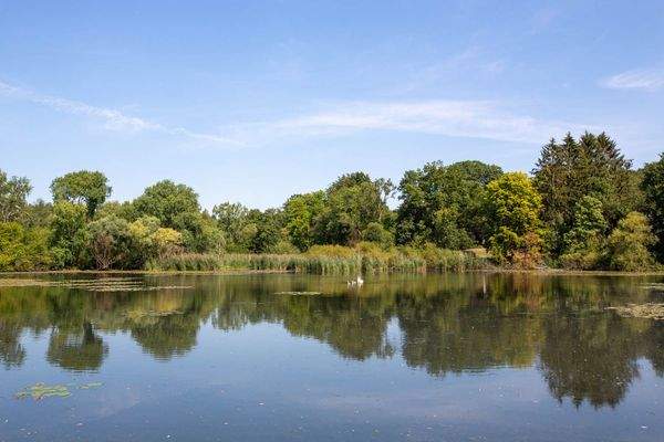 EFH-22946-Trittau-Thonhauser-Immobilien-GmbH-2055