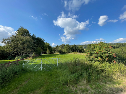 Aerzen Bauernhöfe, Landwirtschaft, Aerzen Forstwirtschaft