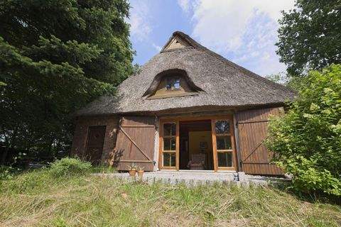 Hochdonn Häuser, Hochdonn Haus kaufen