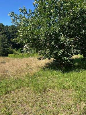 Grundstücksfinde-Service für Baufamilien