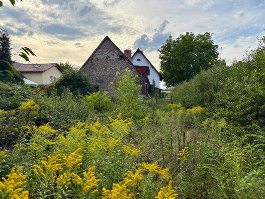 Ansicht mitte Garten zur Fichtenstraße.jpg