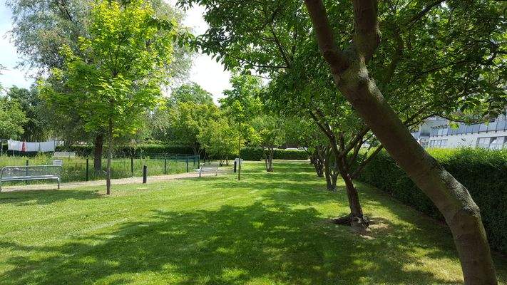 Großer grüner parkähnlicher Innenhof