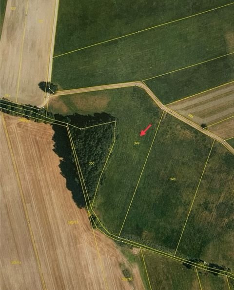 Haag Bauernhöfe, Landwirtschaft, Haag Forstwirtschaft